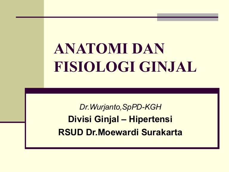 37+ Anatomi Fisiologi Ginjal Ppt