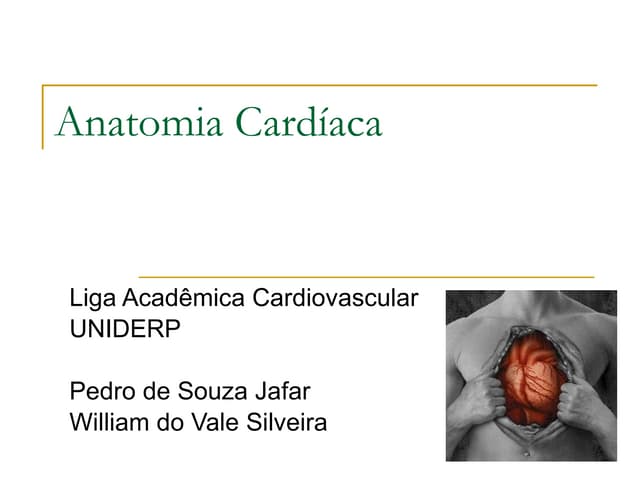 Anatomia Cardiaca