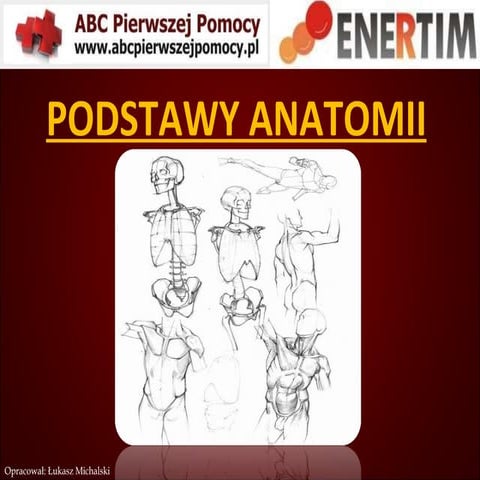 Anatomia Ppt