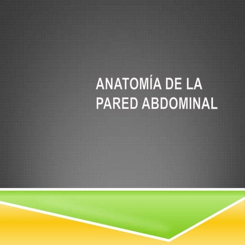 Anatomia de la pared abdominal