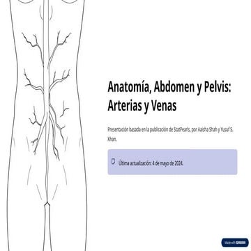Anatomia-Abdomen-y-Pelvis-Arterias-y-Venas.pptx