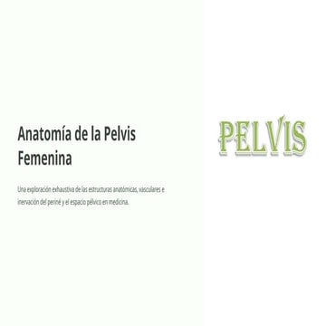 Anatomia de la pelvis femenina y sus carecteres