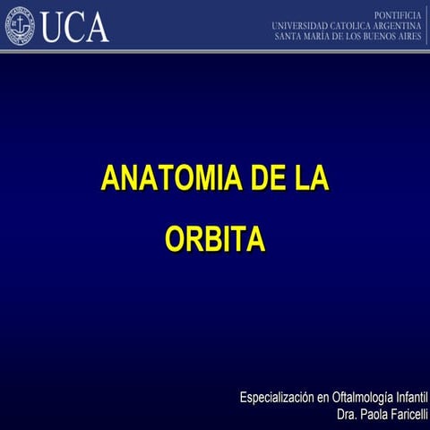 Anatomia de la orbita ocp | PPTX