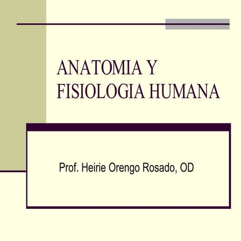 anatomia-y-fisiologia-humana-1208539518296619-9.pdf