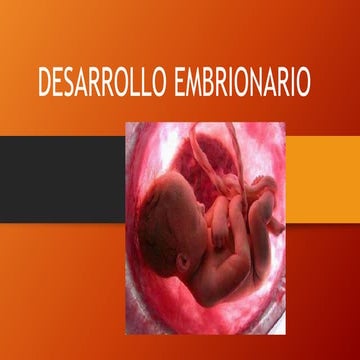 DESARROLLO EMBRIONARIO: menstruación y gametos