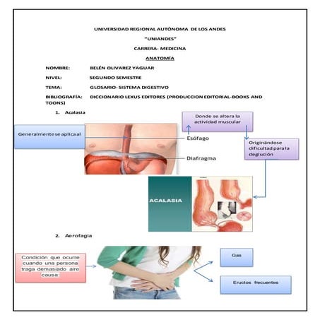 Anatomía- glosario del Sistema Digestivo