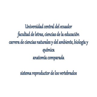 Anatomía: aparato reproductor verte...