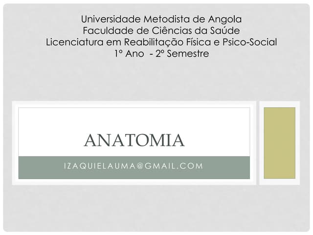Anatomia aula ii