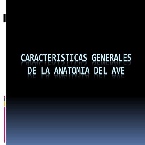 Anatomia aves | PPT