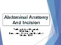 Abdominal incision and abdominal anatomy