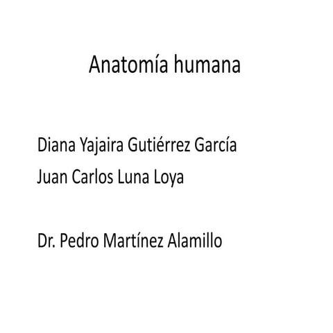 Anatomia con juan