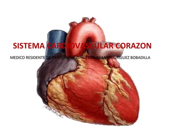 Laminas de la anatomia del corazón- Netter | PPT