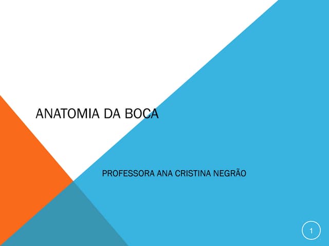 Anatomia da boca