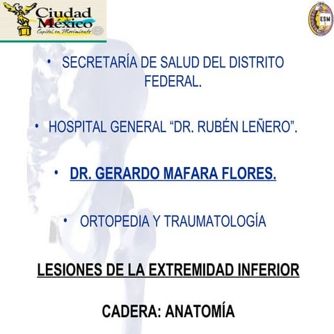 Anatomia de cadera