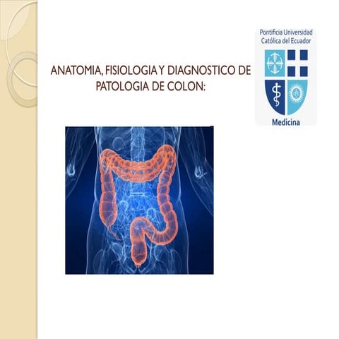 ANATOMIA DE COLON Y SU FISIOLOGIA . pptx | PPTX