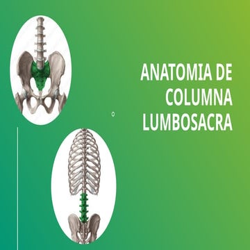 ANATOMIA DE COLUMNA LUMBOSACRA d(1).pptx