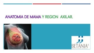 'anatomia de la mama' on SlideShare