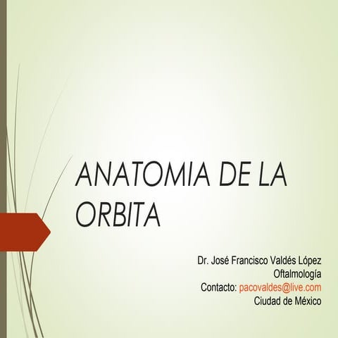 Anatomia de la orbita ocp | PPTX
