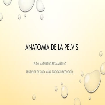 ANATOMIA DE LA PELVIS.pptxjdbfbbfnfnjfnrnnf