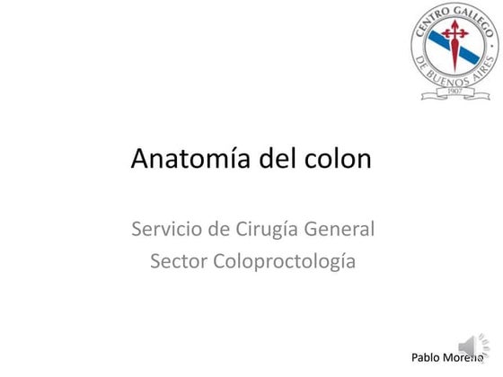 Netter anatomia para colorir venas | PDF