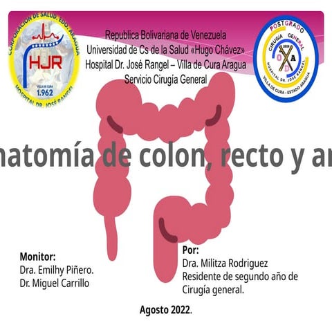 anatomia del colon, fisiología y fisiopatología.pptx
