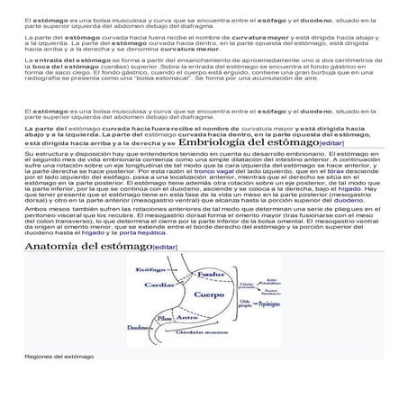 Anatomia del estomago