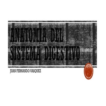 Presentacion Anatomia Del Sistema Digestivo Pptx