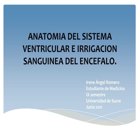 Anatomia del sistema ventricular e irrigacion sanguinea del cerebro