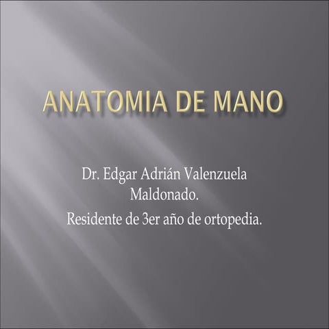 Anatomia de mano