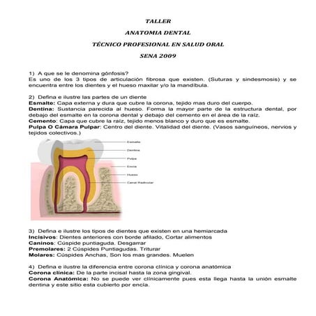 Anatomia Dental I