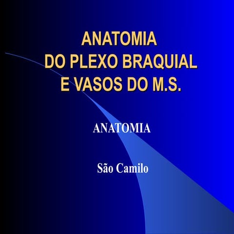 Anatomia do Plexo Braquial e Vasos do M.S.