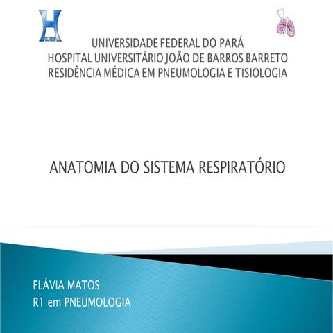 Anatomia do sistema respiratório