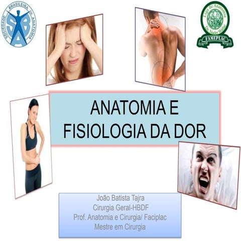 Anatomia e Fisiologia da Dor