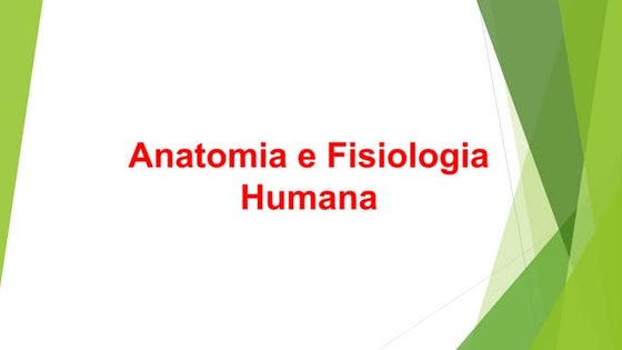 Jorge Santos Presentations