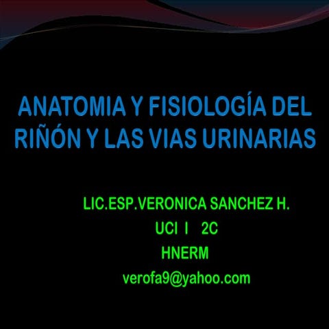 Anatomía y fisiología del riñón y las vías urinarias