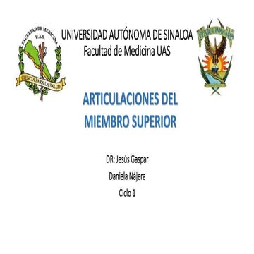 ARTICULACIONES DEL MIEMBRO SUPERIOR