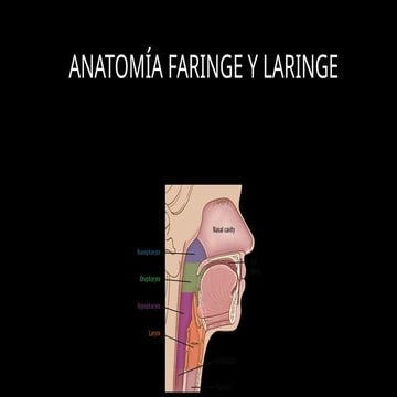 ANATOMIA RADIOLOGICA DE LA FARINGE Y LARINGE