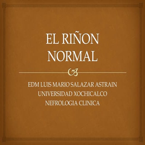 Anatomia Histologia Embriologia Y Fisiologia Renal