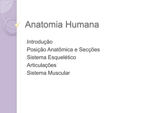 Anatomia humana