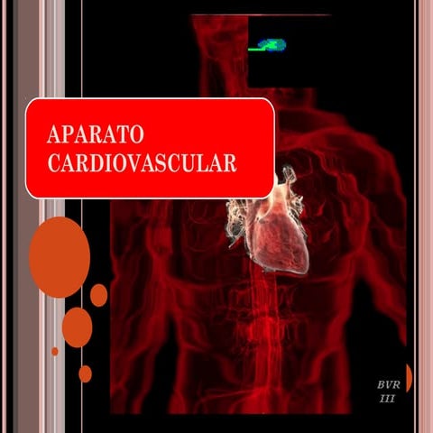 Aparato circulatorio