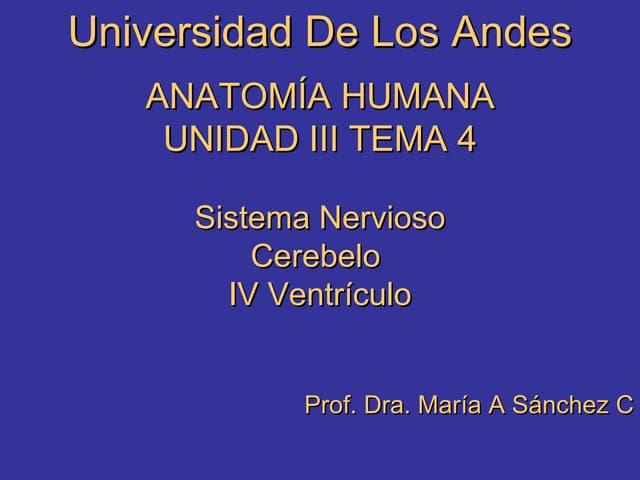 Anatomia humana unidad iii tema 4 s...