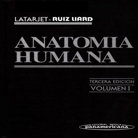 Anatomia LatarjetRuiz Liard T1.pdf