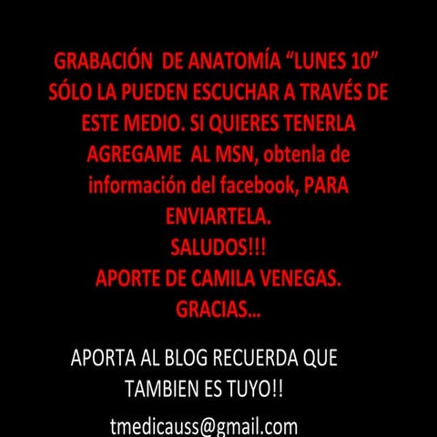 Anatomia Lunes 10