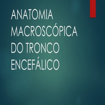 ANATOMIA MACROSCÓPICA DO TRONCO ENCEFÁLICO.pptx