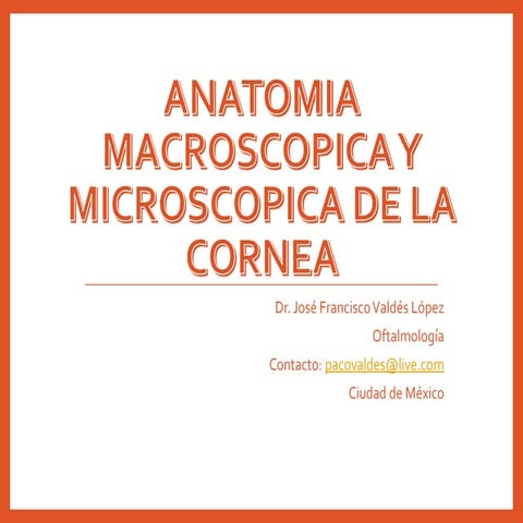 anatomia-de-la-via-pupilar-pptx