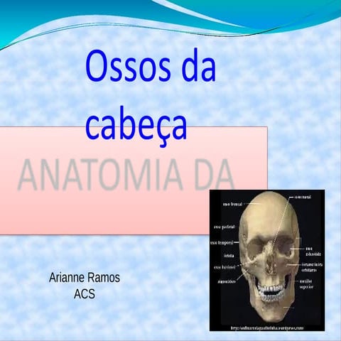 Anatomia da face | PPT