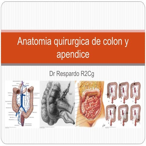 Técnicas quirúrgicas específicas en cirugía de Colon (Colectomías).pptx