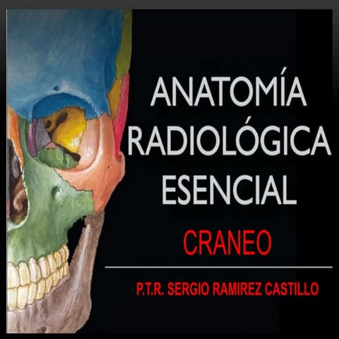 ANATOMIA RAD.  DE CRANEO.pptx