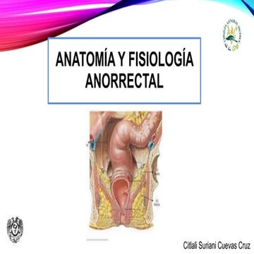 ANATOMIA Y FISIOLOGIA RECTO ANO.pptx