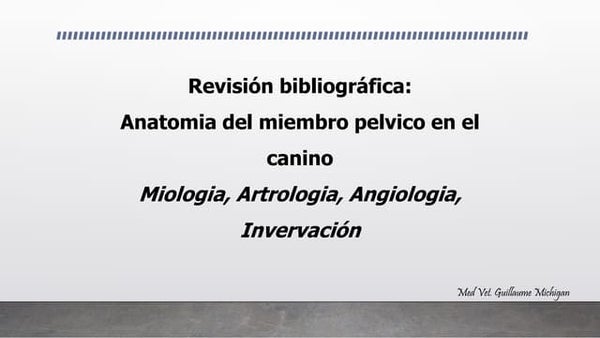 Medicina Felina Hyperaldosteronisme Felin Pas Si Rare Vetbreed Medicina Felina Hyperaldosteronisme Felin Pas Si Rare Vetbreed